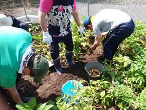 就労継続支援Ｂ型　農作業